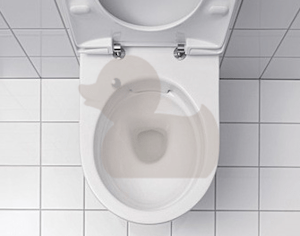Závěsné WC Keramag Renova NR. 1 plan, zadní odpad, 54cm 203050000