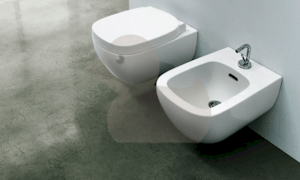 Závěsné WC Laufen Palomba, zadní odpad, 54cm H8208010000001