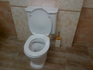 WC nádrž Vitra Ricordi, 20cm 6455-003-5344