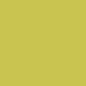 Dlažba Rako Color Two žlutozelená 20x20 cm, mat