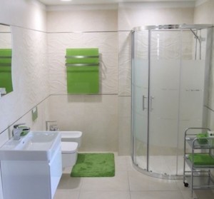 Koupelnová předložka Optima 90x60 cm zelená PRED008