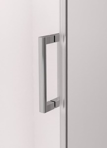 Sprchové dveře 100 cm Polysan THRON LINE TL5010-5005