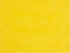 Obklad ve žluté barvě o rozměru 25x33 cm a tloušťce 7 mm s lesklým povrchem. Vhodné pouze do interiéru. S malými rozdíly v odstínu barev, struktury povrchu a kresby. Made by RAKO.